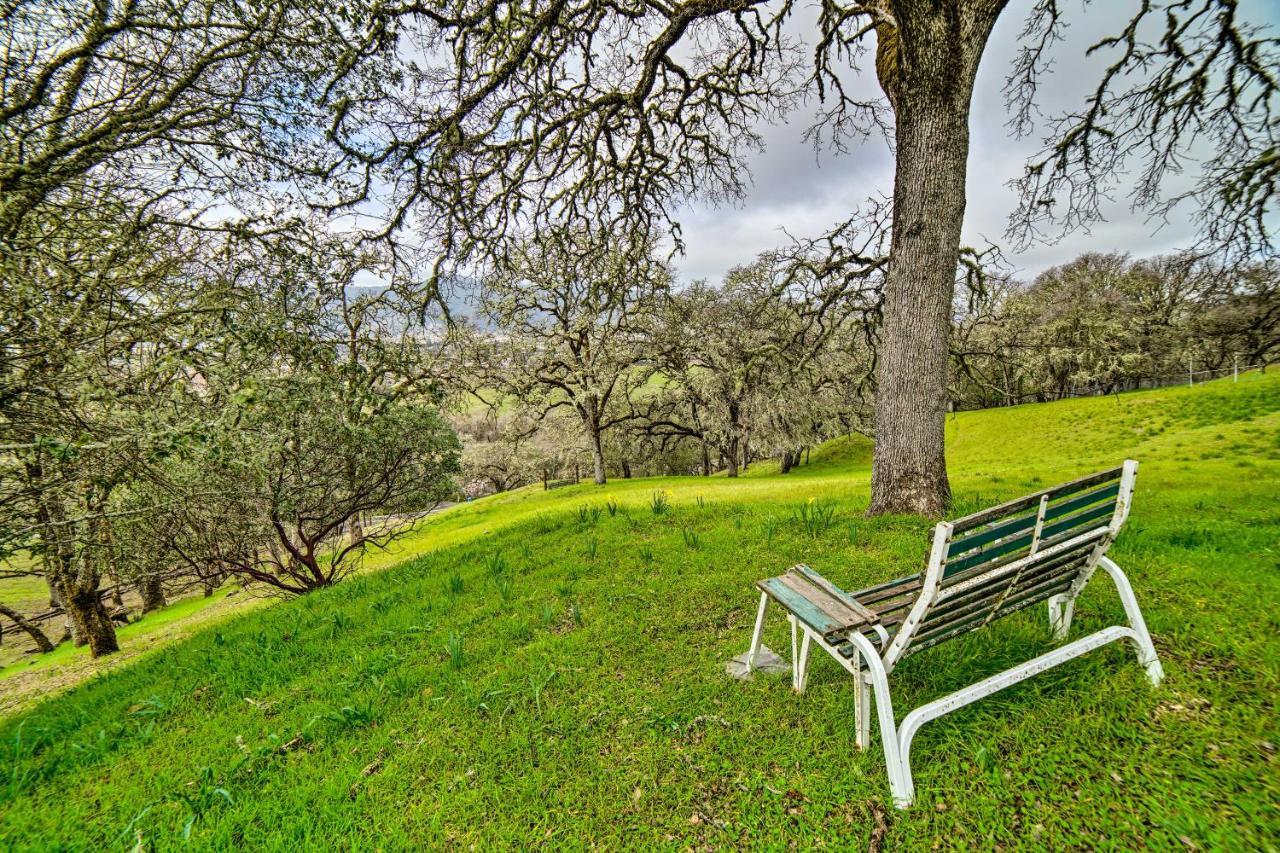 Hilltop Loft Ukiah Vacation Rental! Exterior photo